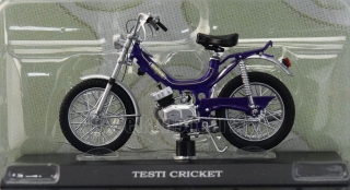 Testi Cricket